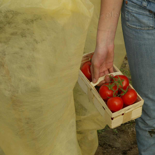 Bio Tomaten Reifevlies, Schlauchware "planto pro"